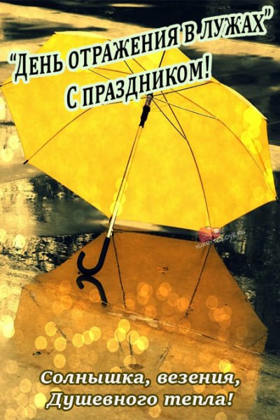 С днём отражения в лужах открытки