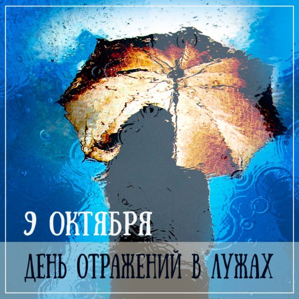 День отражений в лужах 9 октября