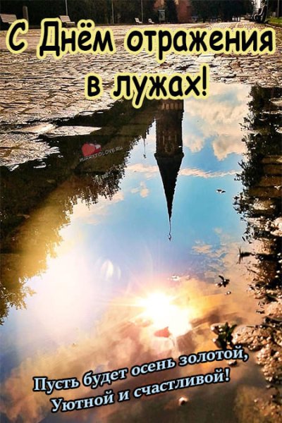 День отражений в лужах 9 октября