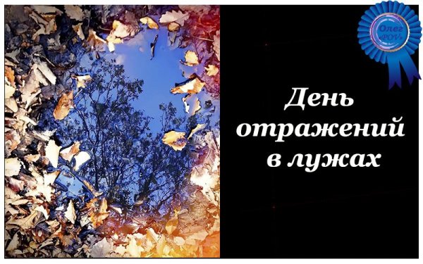 9 Октября праздник день отражений в лужах
