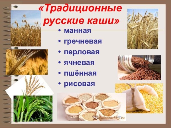 Презентация на тему ячневая крупы