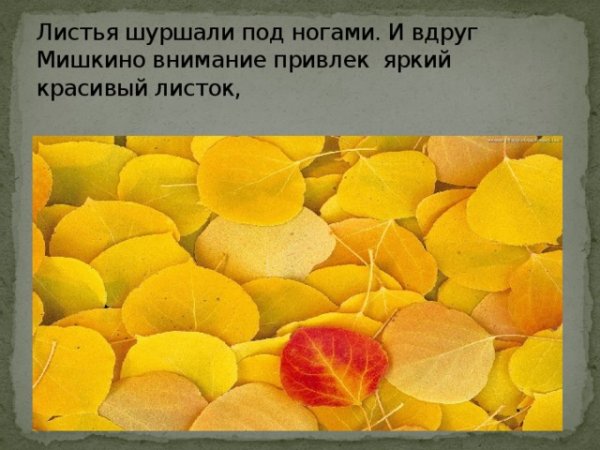 Картинки на День шуршания листьями (50 фото)