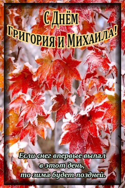 Михаил соломенный 13 октября картинки