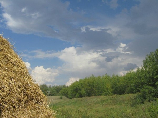Михаил соломенный