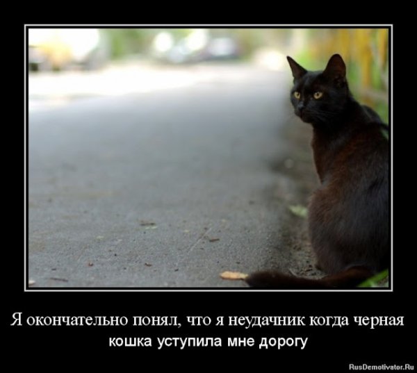 День неудачника