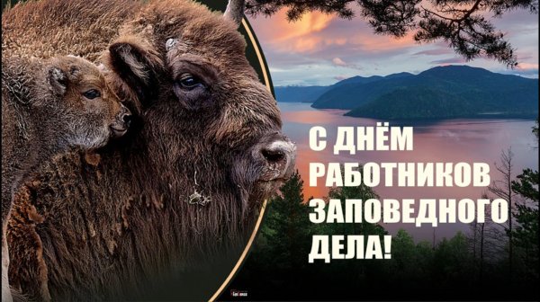 Открытки с днем работников заповедного дела