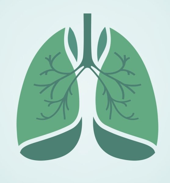 Всемирный день легких лекции