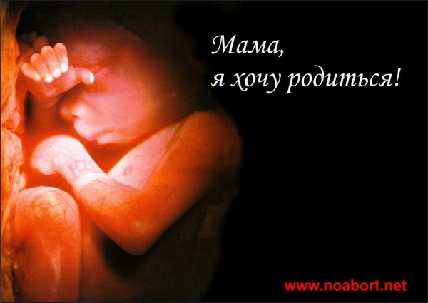 19-20 Недель беременности