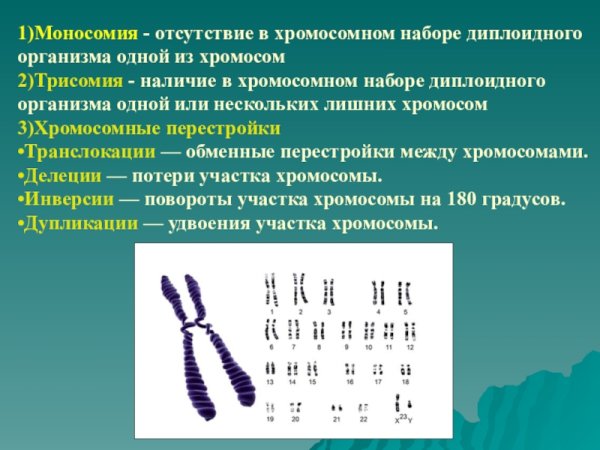 Анеуплоидия моносомия
