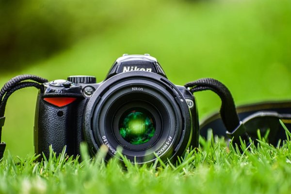 Фотокамера в траве