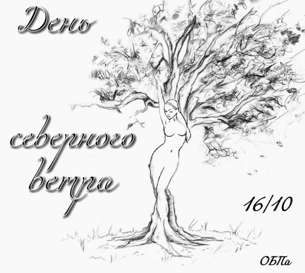 День Северного ветра 16 октября