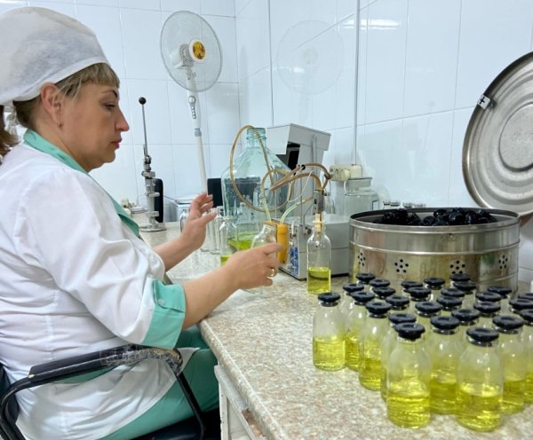 День фармацевтического работника в России