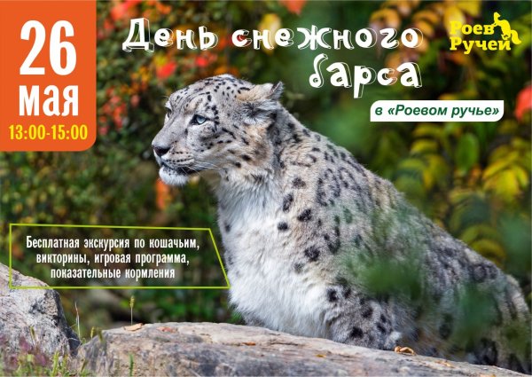 День снежного Барса 23 октября
