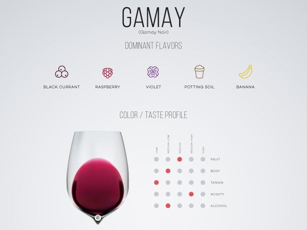 Вино Wine Guide