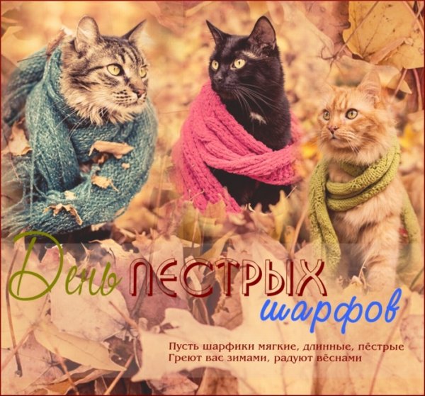 День длинных пёстрых шарфо