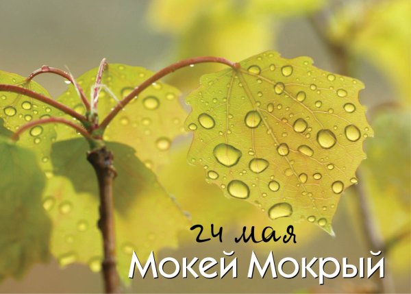Мокий мокрый