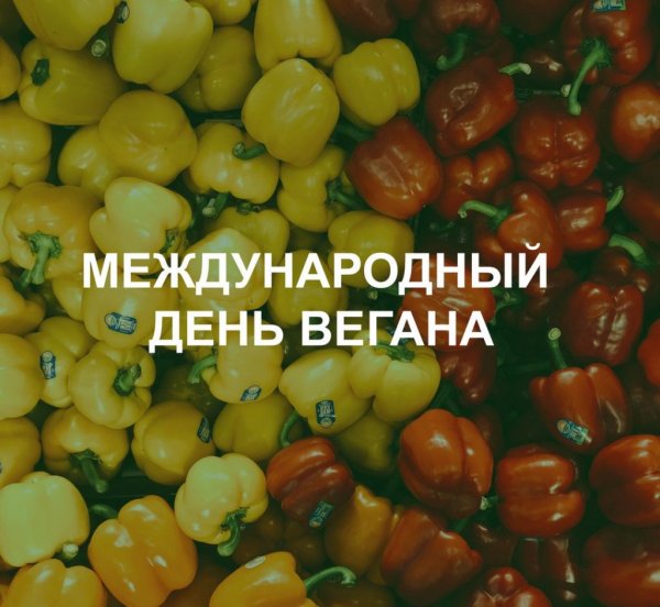 День вегана
