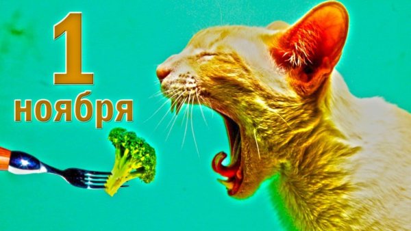 Всемирный день вегана 1 ноября