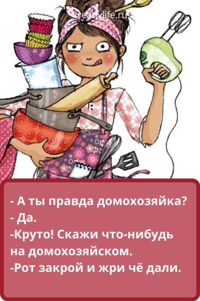 Смешные цитаты про домохозяек