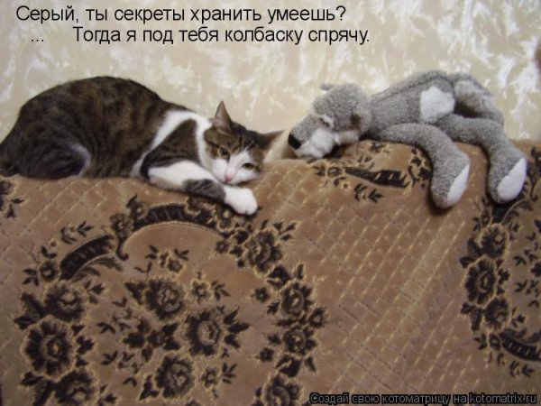 День хранения тайны картинки прикольные