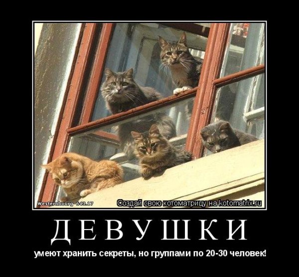 Не умеет хранить секреты