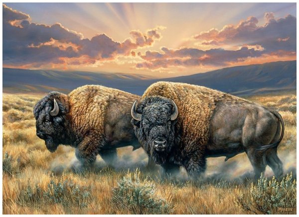 Бизон картина