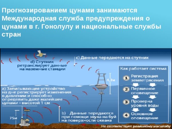 Оповещение о ЦУНАМИ