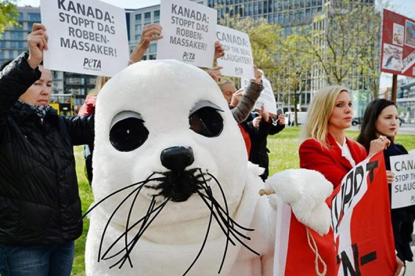 Международный день памяти животных, погибших от рук человека