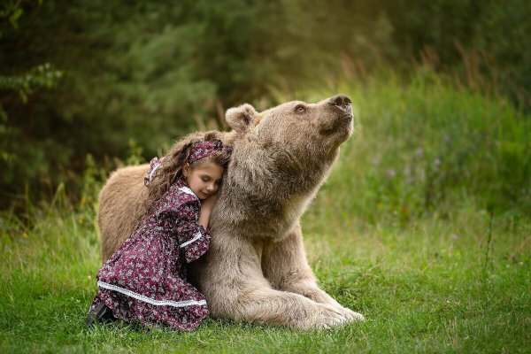 Объятия медведя