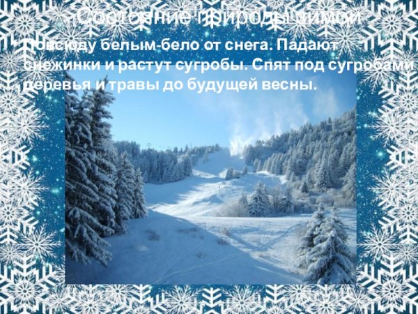 Презентация зима