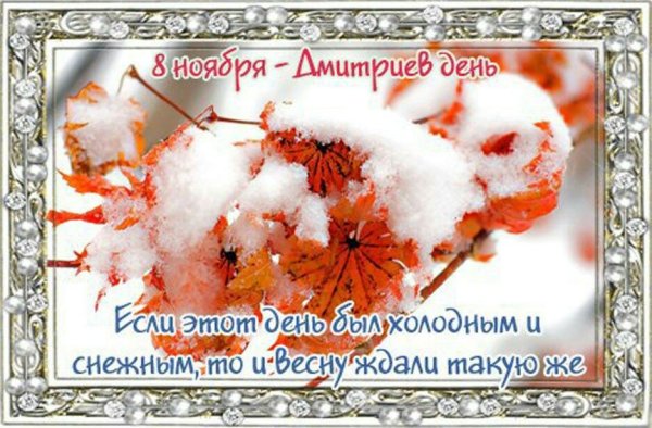 Дмитриев день 8 ноября