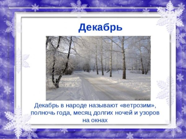 Календарь природы зима
