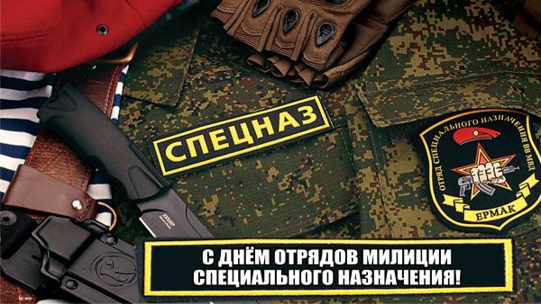 День отрядов милиции специального назначения 9 ноября