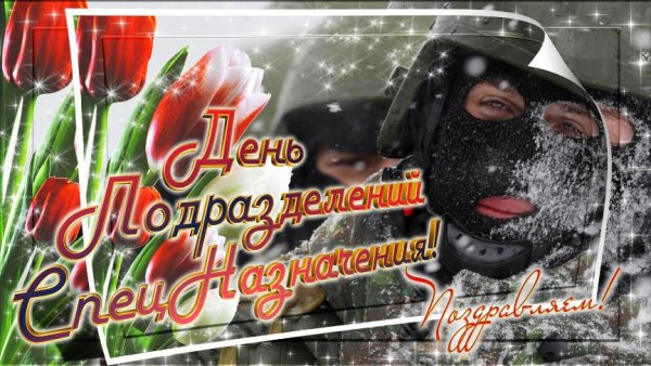 День спецназа