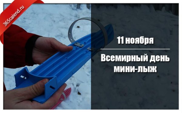 Всемирный день мини-лыж 11 ноября