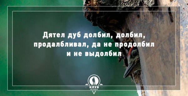 Скороговорки про животных