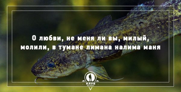 Всемирный день скороговорок