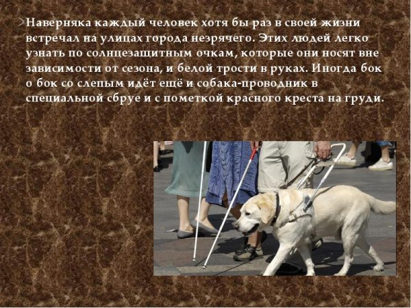 День белой трости презентация