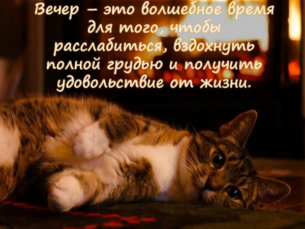 День общения с духом вечера 14 ноября