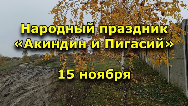 Акиндин и Пигасий народный праздник