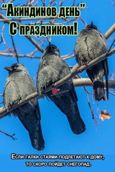 15 Ноября праздник картинки