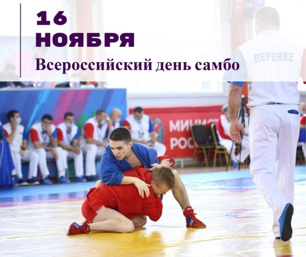 Всемирный день самбо