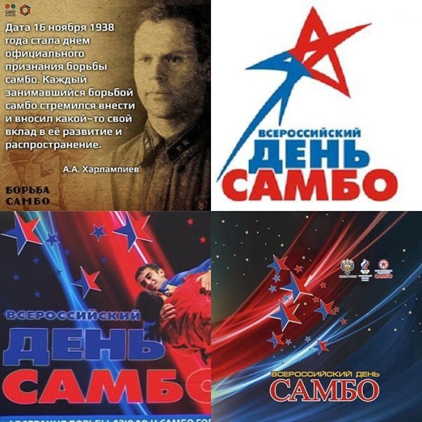 День самбо
