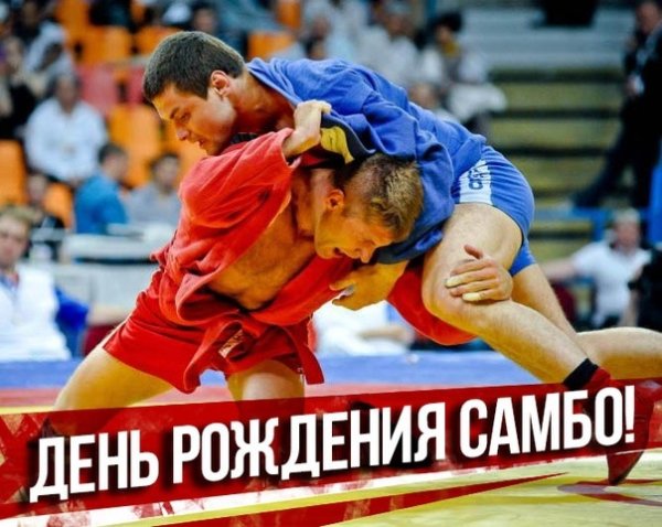 Поздравления с днем самбо открытки