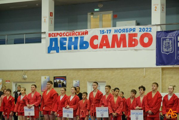 Самбо вид спорта