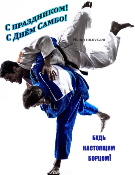 Всемирный день самбо