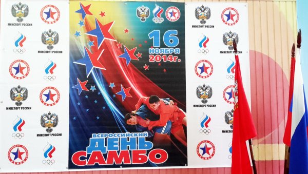 День самбо