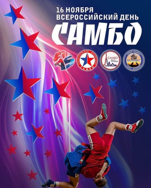 День самбо