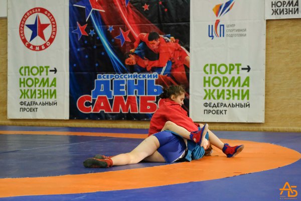 Всероссийский день самбо 16 ноября