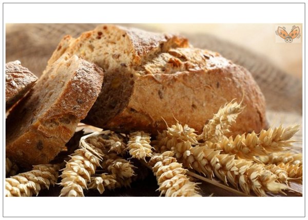 16 Октября день хлеба для детей